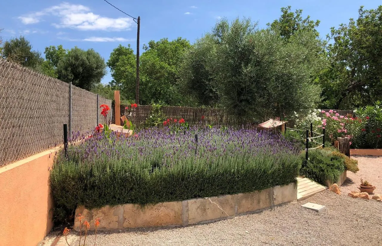 Son Segi Villa Sant Llorenc des Cardassar